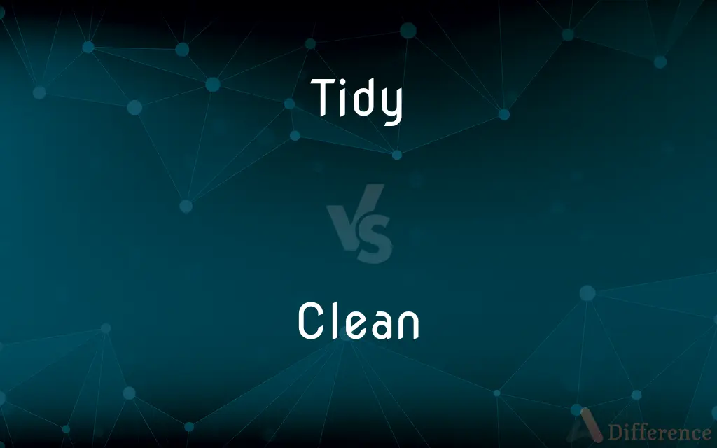 Tidy vs. Clean — What's the Difference?