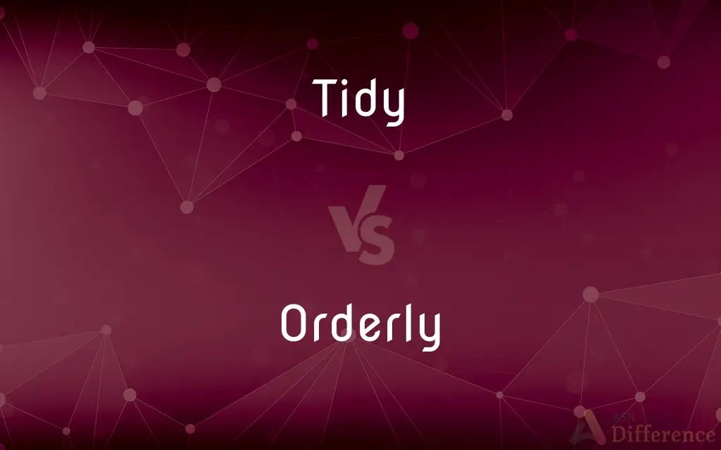 Tidy vs. Orderly — What's the Difference?