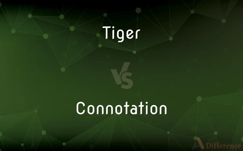 Tiger vs. Connotation — What's the Difference?