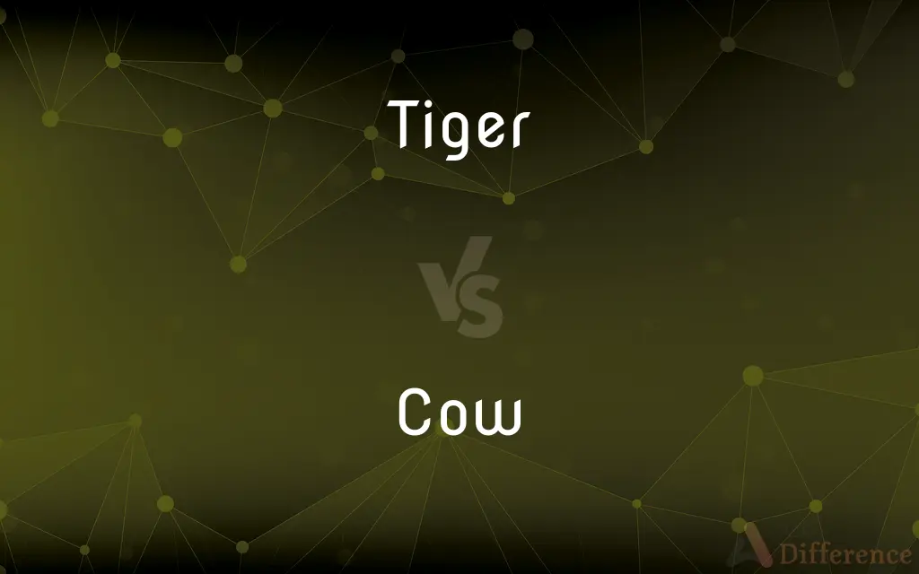 Tiger vs. Cow — What's the Difference?