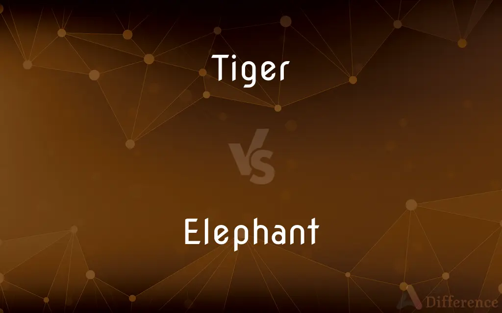 Tiger vs. Elephant — What's the Difference?