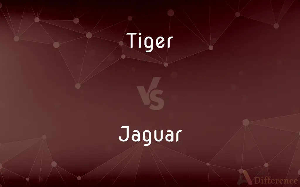 Tiger vs. Jaguar — What's the Difference?