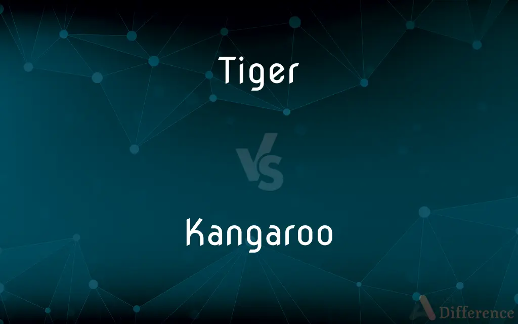 Tiger vs. Kangaroo — What's the Difference?