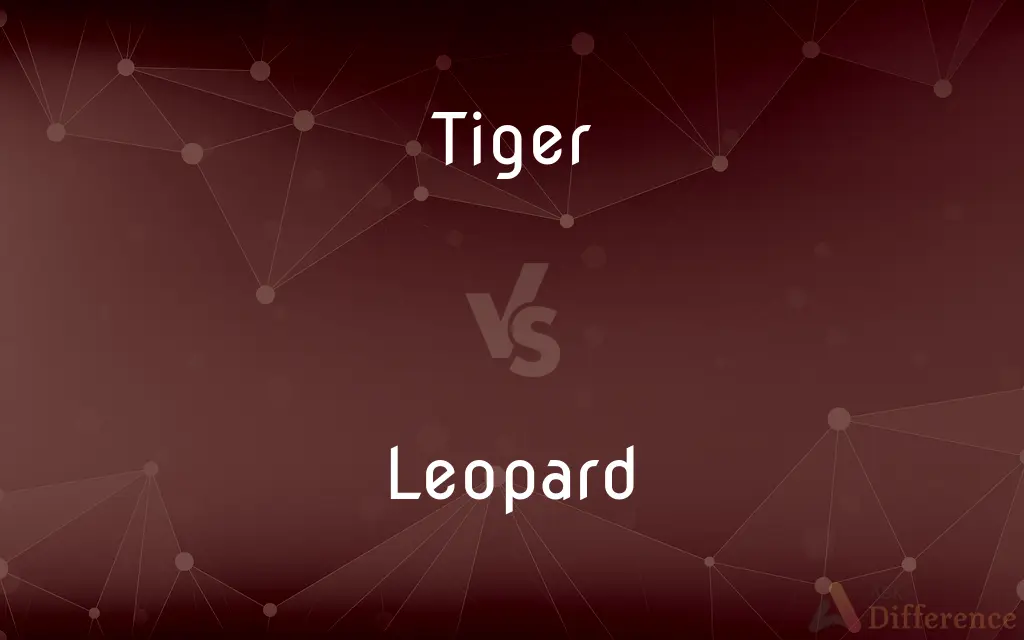 Tiger vs. Leopard — What's the Difference?