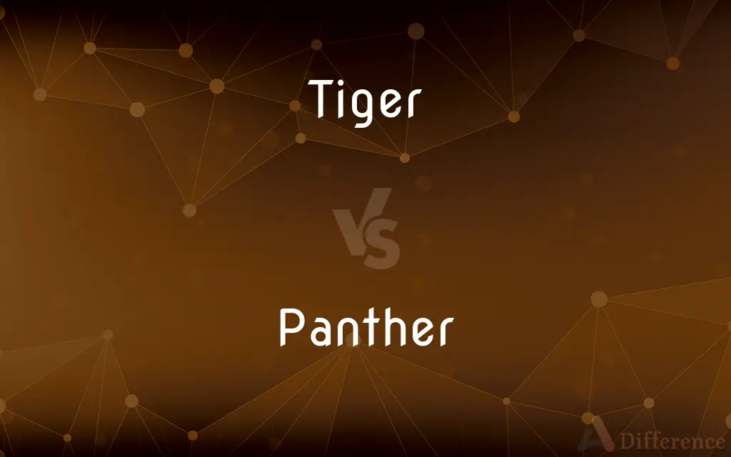 Tiger vs. Panther — What's the Difference?