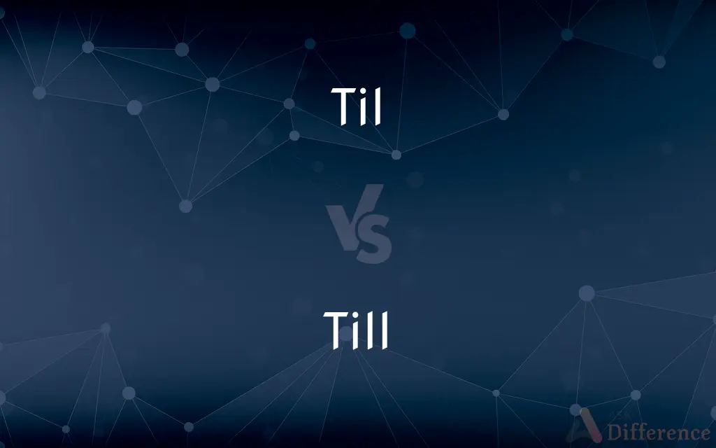 Til vs. Till — What's the Difference?