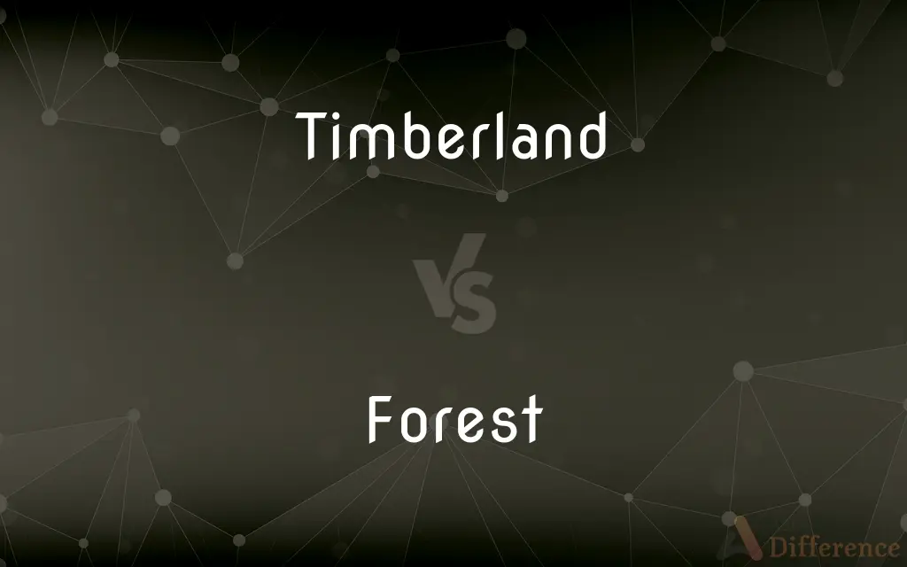 Timberland vs. Forest — What's the Difference?