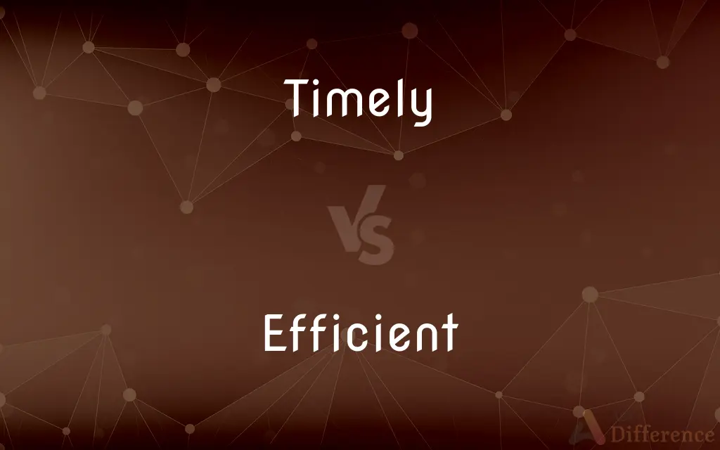 Timely vs. Efficient — What's the Difference?