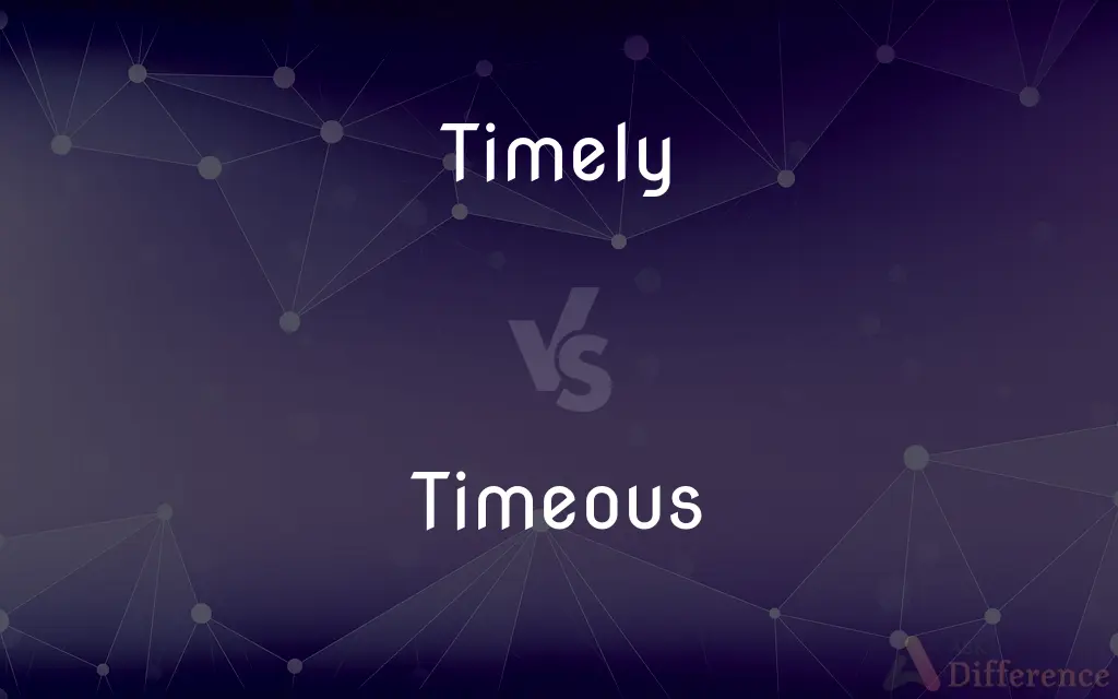 Timely vs. Timeous — What's the Difference?