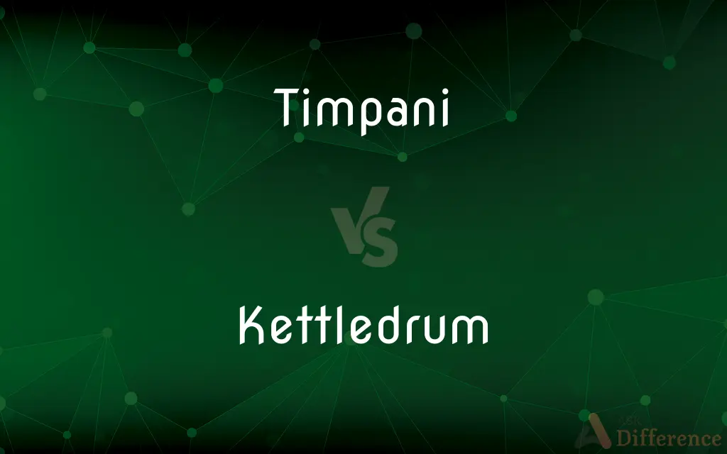 Timpani vs. Kettledrum — What's the Difference?