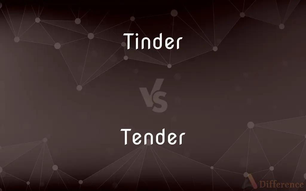 Tinder vs. Tender — What's the Difference?