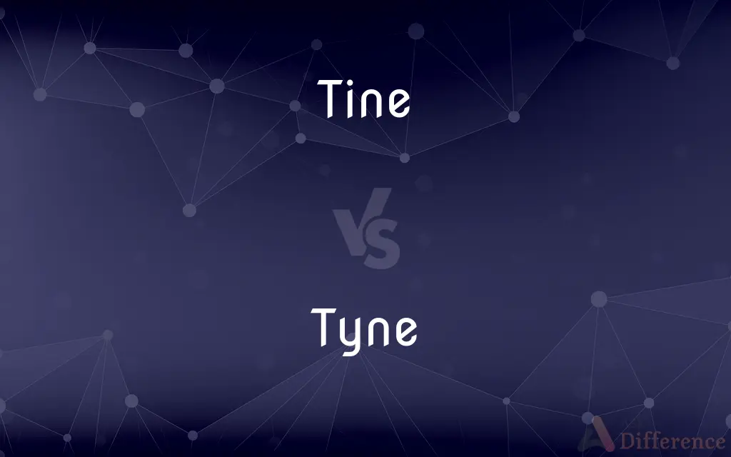 Tine vs. Tyne — What's the Difference?