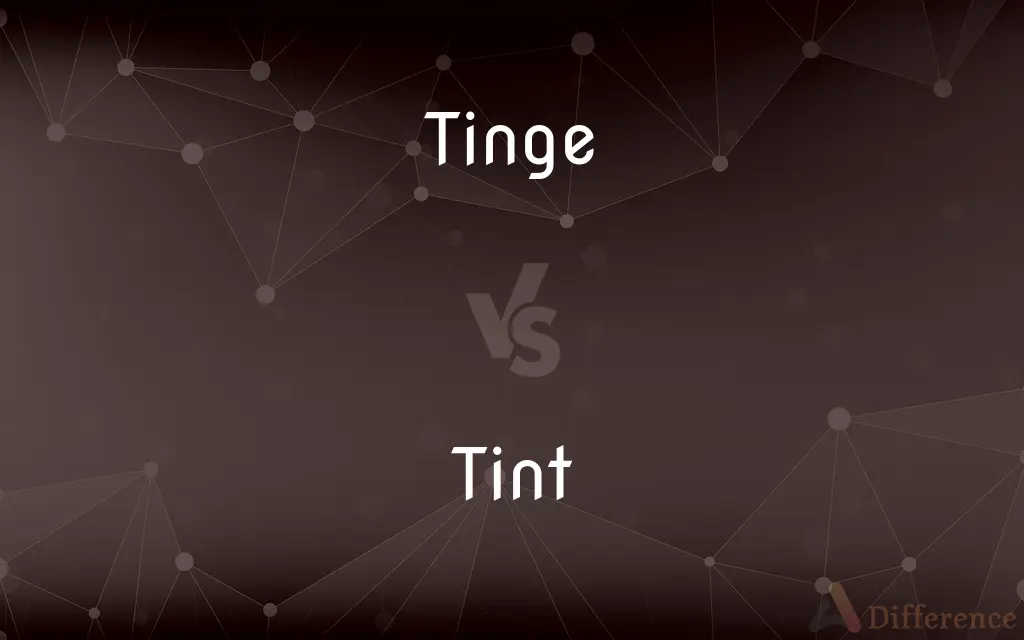 Tinge vs. Tint — What's the Difference?