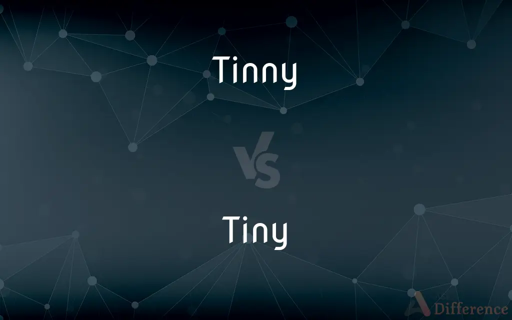 Tinny vs. Tiny — What's the Difference?