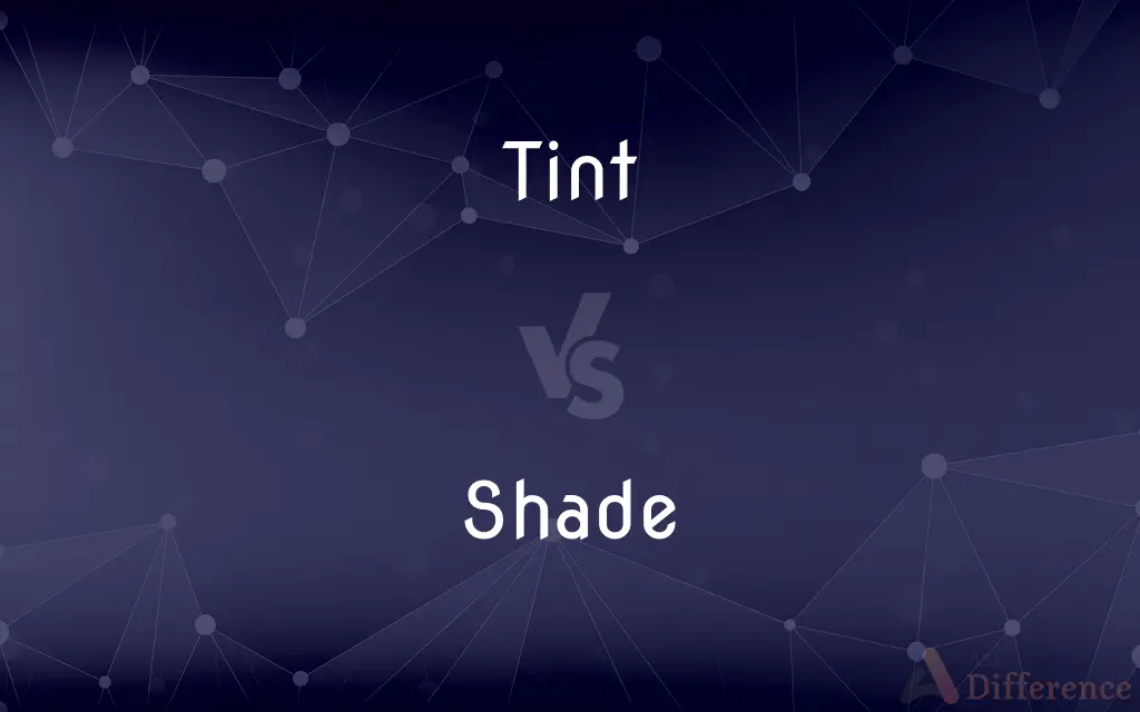 Tint vs. Shade — What's the Difference?