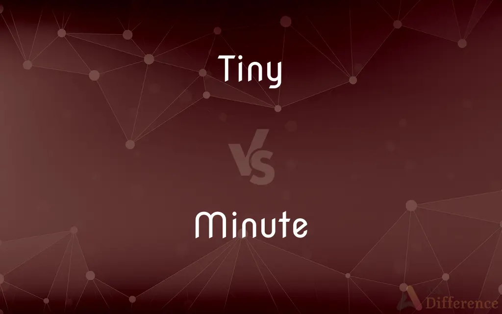 Tiny vs. Minute — What's the Difference?