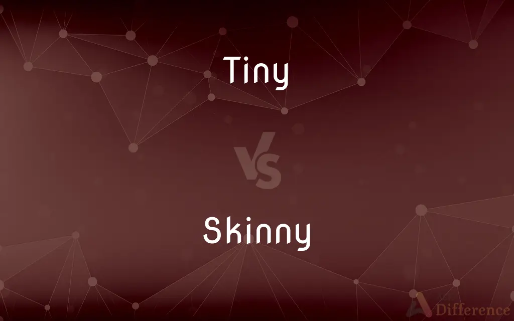 Tiny vs. Skinny — What's the Difference?