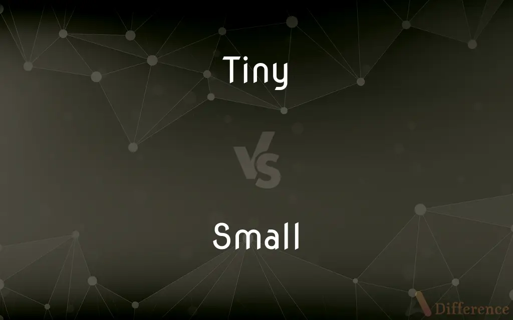 Tiny vs. Small — What's the Difference?