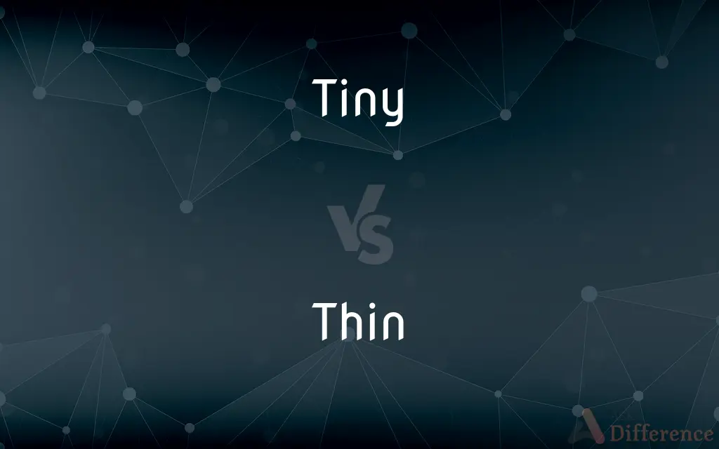 Tiny vs. Thin — What's the Difference?