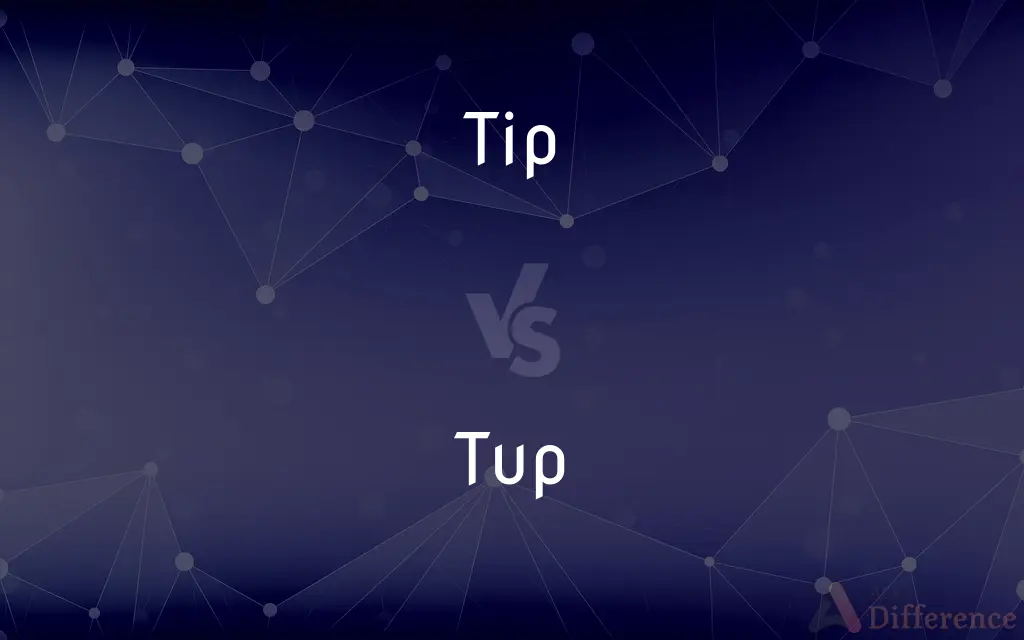Tip vs. Tup — What's the Difference?