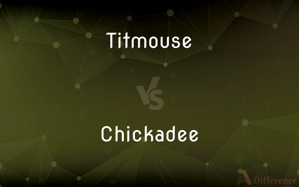 Titmouse vs. Chickadee — What's the Difference?