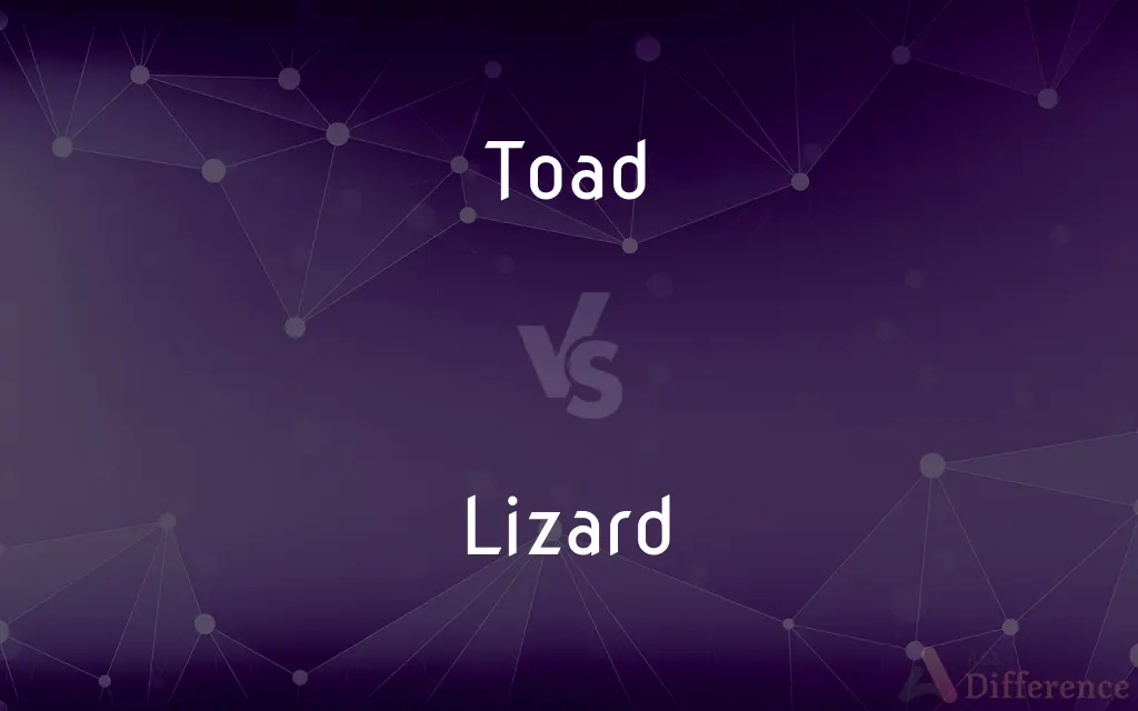 Toad vs. Lizard — What's the Difference?