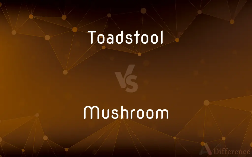 Toadstool vs. Mushroom — What's the Difference?