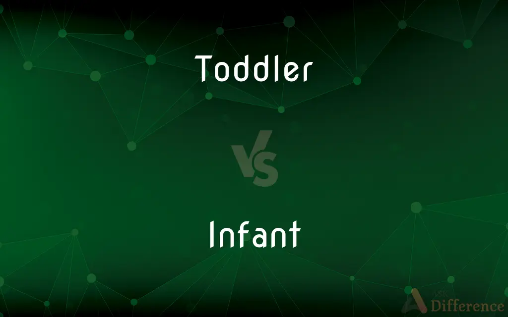 Toddler vs. Infant — What's the Difference?