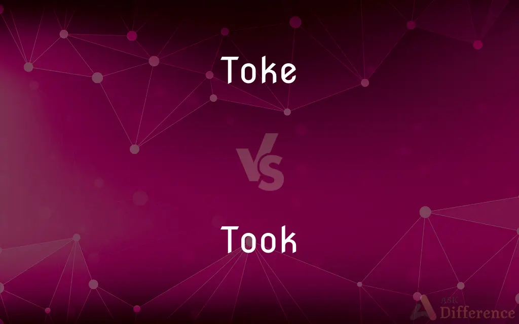 Toke vs. Took — What's the Difference?