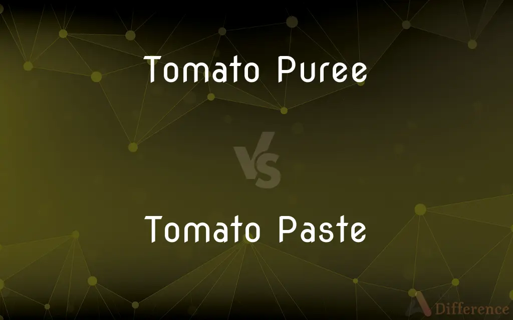Tomato Puree vs. Tomato Paste — What's the Difference?