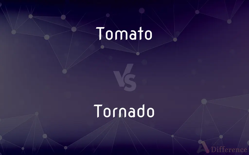 Tomato vs. Tornado — What's the Difference?