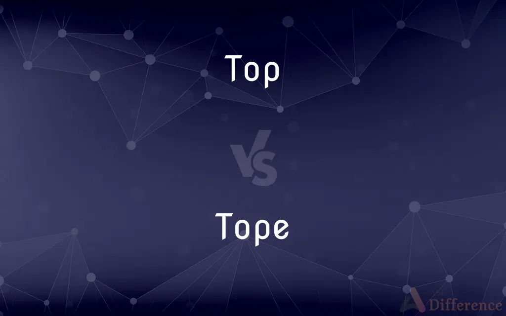Top vs. Tope — What's the Difference?