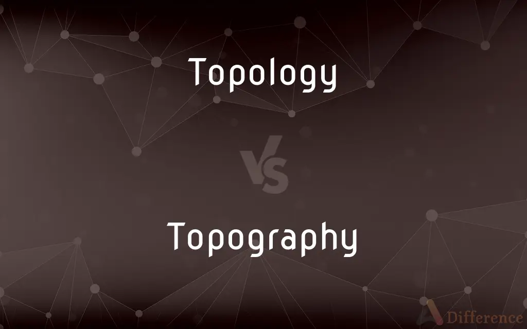 Topology vs. Topography — What's the Difference?