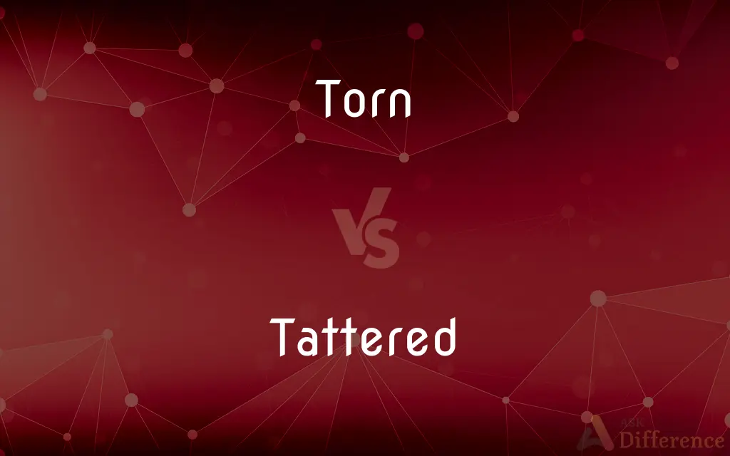 Torn vs. Tattered — What's the Difference?