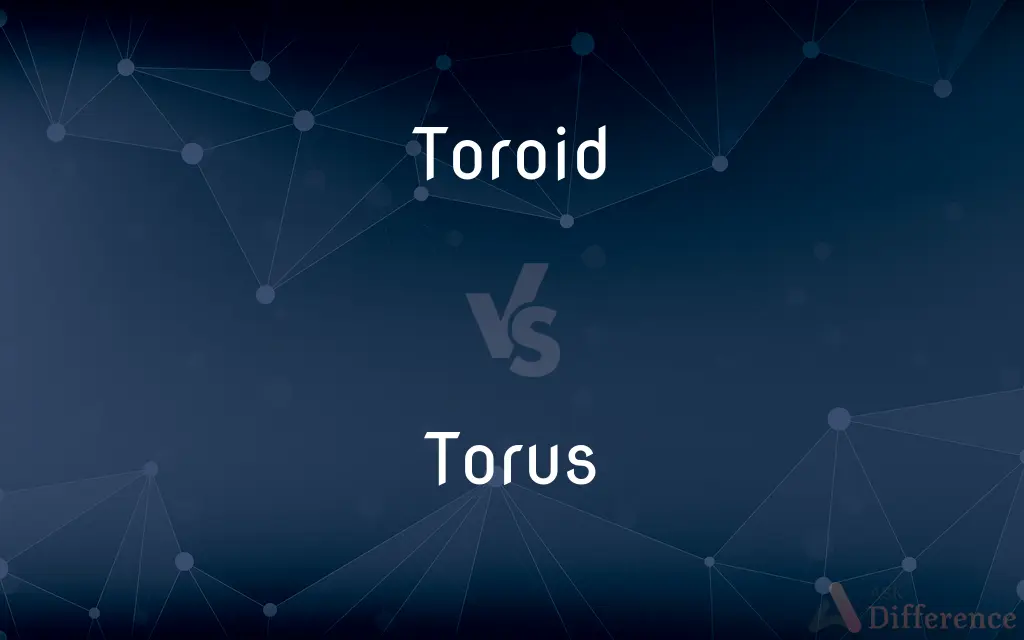 Toroid vs. Torus — What's the Difference?