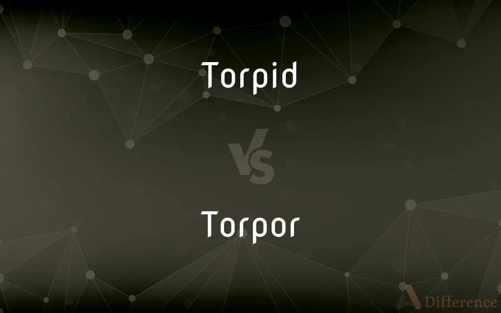 Torpid vs. Torpor — What's the Difference?