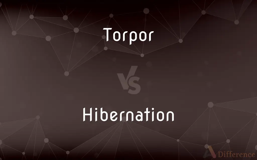 Torpor vs. Hibernation — What's the Difference?