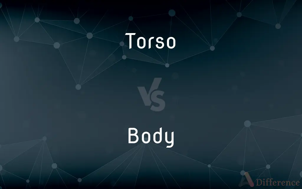 Torso vs. Body — What's the Difference?