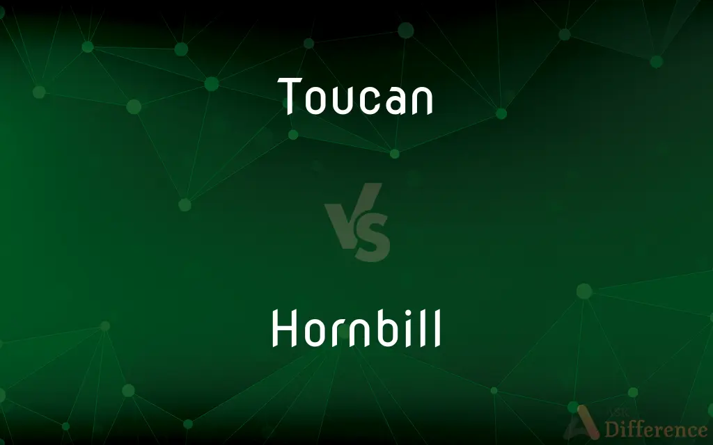 Toucan vs. Hornbill — What's the Difference?