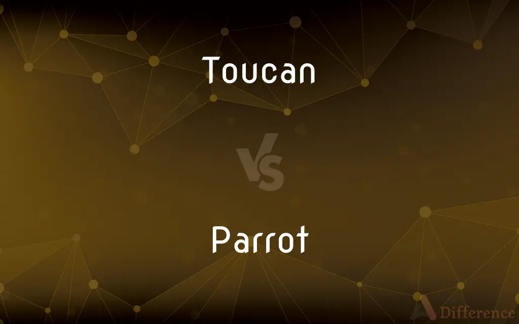 Toucan vs. Parrot — What's the Difference?