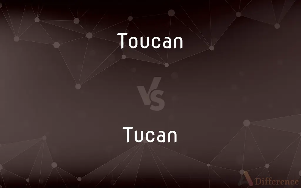 Toucan vs. Tucan — What's the Difference?