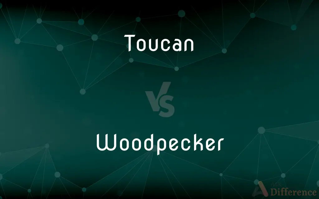 Toucan vs. Woodpecker — What's the Difference?