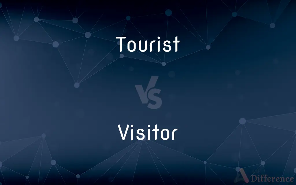 a visitor vs a tourist
