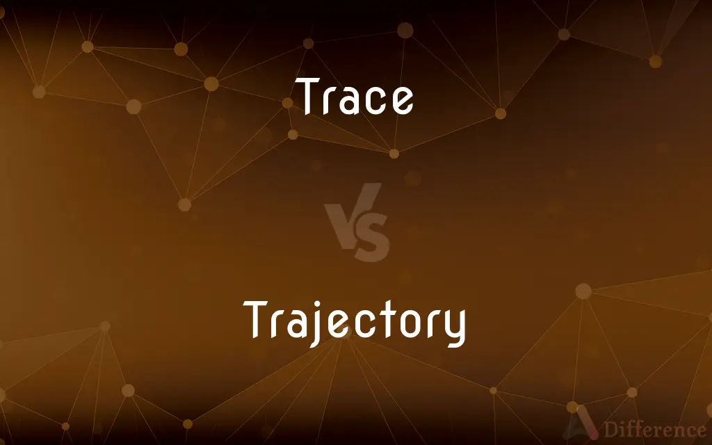 Trace vs. Trajectory — What's the Difference?