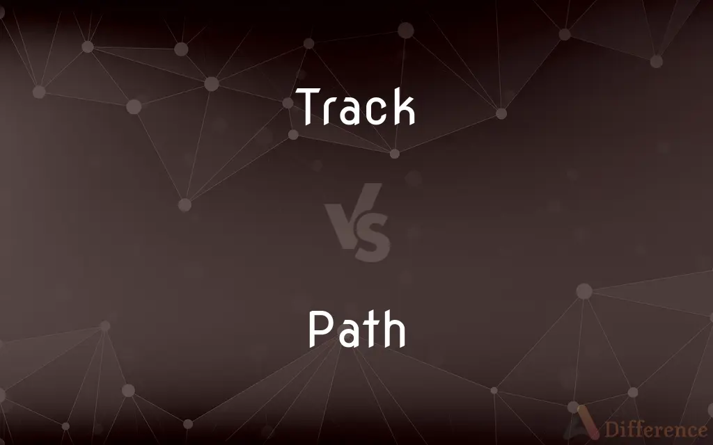 Track vs. Path — What's the Difference?