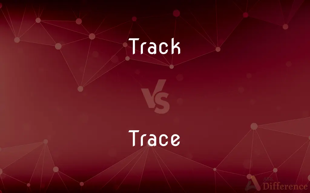 Track vs. Trace — What's the Difference?
