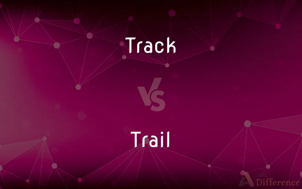 Track vs. Trail — What's the Difference?