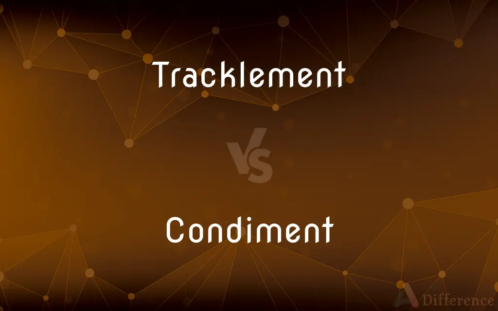 Tracklement vs. Condiment — What's the Difference?