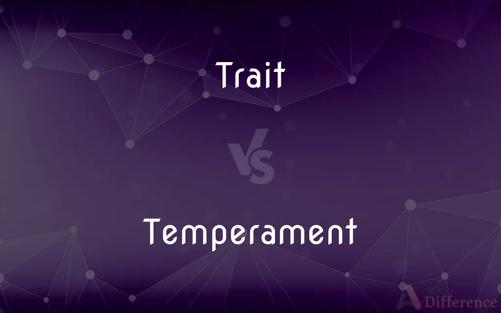 Trait vs. Temperament — What's the Difference?