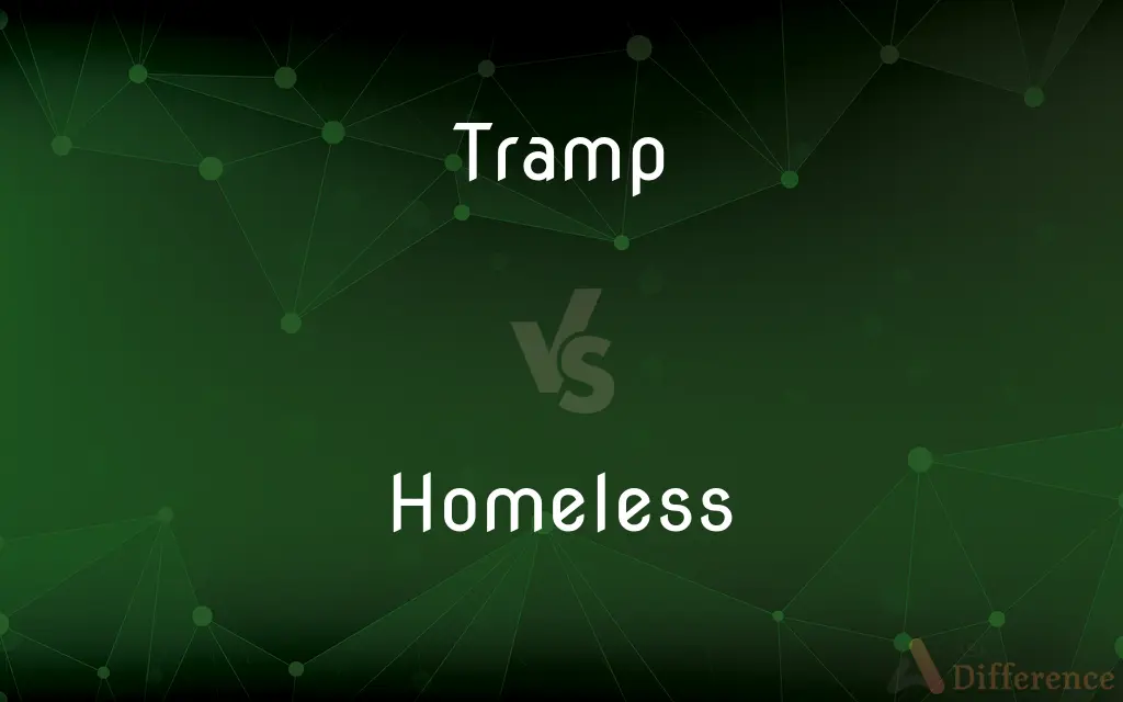 Tramp vs. Homeless — What's the Difference?